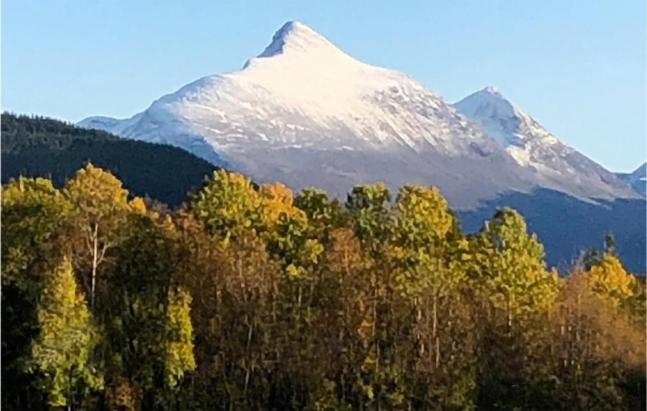 Solhavn Daire Eidsvåg Dış mekan fotoğraf